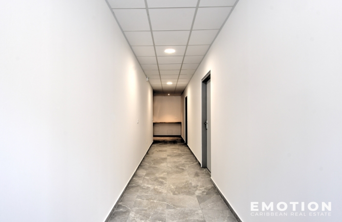 EMOTION REAL ESTATE - LOCAL PROFESSIONNEL - 43m2