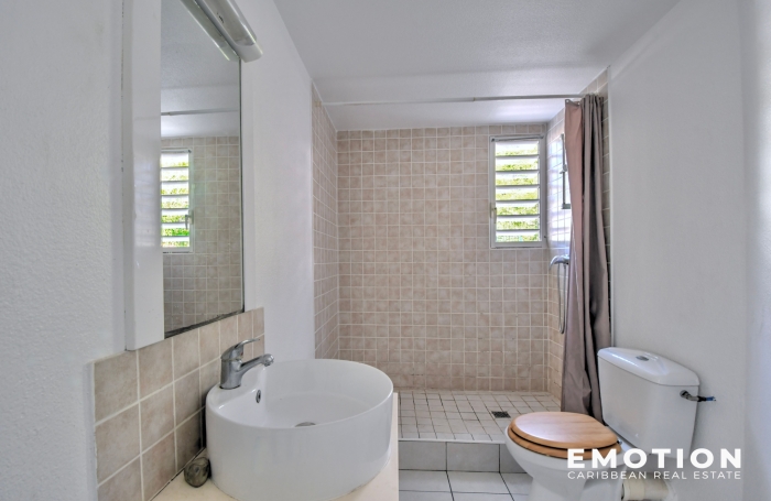 EMOTION - T2 - CONCORDIA